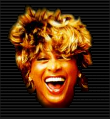 Tina Turner Tina Turner